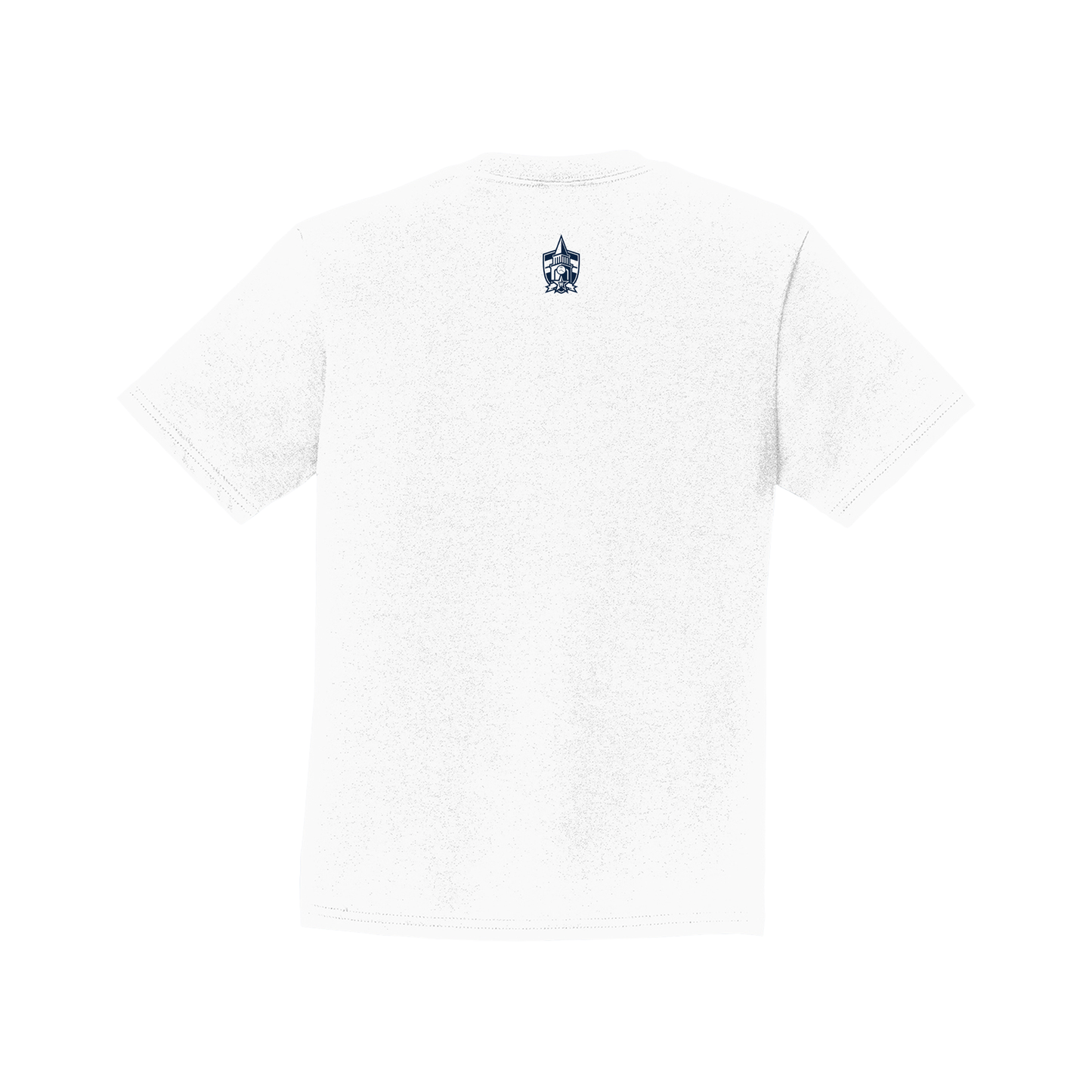Adult WPA Stars and Stripes Tee