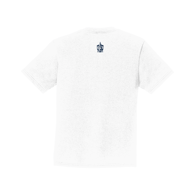 Adult WPA Stars and Stripes Tee